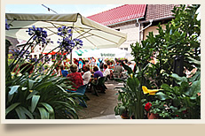 Pension Gasthof Witte - Biergarten